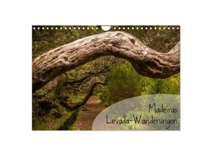 9783435631223 - Madeiras Levada-Wanderungen (Wandkalender 2025 DIN A4 quer) CALVENDO Monatskalender