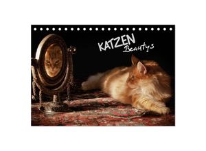 9783435632053 - KATZEN Beautys (Tischkalender 2025 DIN A5 quer) CALVENDO Monatskalender