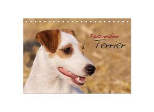 9783435632596 - Faszination Terrier (Tischkalender 2025 DIN A5 quer) CALVENDO Monatskalender