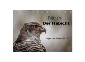 9783435634231 - Falknerei Der Habicht (Tischkalender 2025 DIN A5 quer) CALVENDO Monatskalender