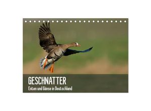 9783435635191 - Geschnatter - Enten und Gänse in Deutschland (Tischkalender 2025 DIN A5 quer) CALVENDO Monatskalender