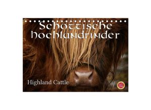 9783435635887 - Schottische Hochlandrinder - Highland Cattle (Tischkalender 2025 DIN A5 quer) CALVENDO Monatskalender