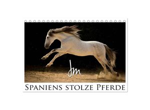 9783435636907 - Spaniens stolze Pferde (Tischkalender 2025 DIN A5 quer) CALVENDO Monatskalender