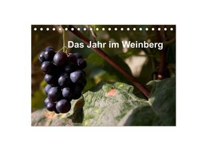 9783435636976 - Das Jahr im Weinberg (Tischkalender 2025 DIN A5 quer) CALVENDO Monatskalender