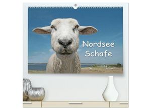 9783435637089 - Nordsee Schafe (hochwertiger Premium Wandkalender 2025 DIN A2 quer) Kunstdruck in Hochglanz