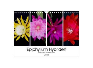 9783435637171 - Epiphyllum-Hybriden (Wandkalender 2025 DIN A4 quer) CALVENDO Monatskalender