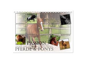 9783435637935 - Passion - Pferde und Ponys (Tischkalender 2025 DIN A5 quer) CALVENDO Monatskalender