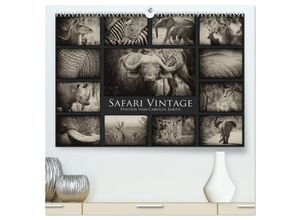 9783435638314 - Safari Vintage (hochwertiger Premium Wandkalender 2025 DIN A2 quer) Kunstdruck in Hochglanz