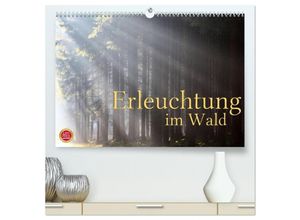 9783435638406 - Erleuchtung im Wald (hochwertiger Premium Wandkalender 2025 DIN A2 quer) Kunstdruck in Hochglanz