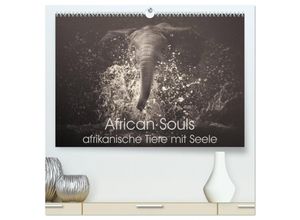 9783435638475 - African Souls - afrikanische Tiere mit Seele (hochwertiger Premium Wandkalender 2025 DIN A2 quer) Kunstdruck in Hochglanz