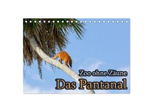 9783435638789 - Zoo ohne Zäune - Das Pantanal (Tischkalender 2025 DIN A5 quer) CALVENDO Monatskalender