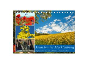 9783435639199 - Mein buntes Mecklenburg (Tischkalender 2025 DIN A5 quer) CALVENDO Monatskalender