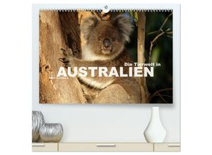 9783435639786 - Die Tierwelt in Australien (hochwertiger Premium Wandkalender 2025 DIN A2 quer) Kunstdruck in Hochglanz