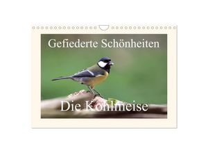 9783435640294 - Gefiederte Schönheiten - Die Kohlmeise (Wandkalender 2025 DIN A4 quer) CALVENDO Monatskalender