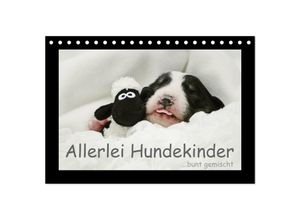 9783435640355 - Allerlei Hundekinder (Tischkalender 2025 DIN A5 quer) CALVENDO Monatskalender