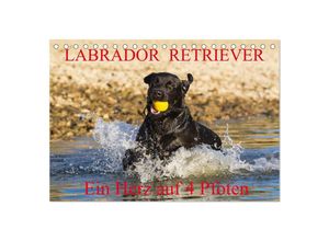 9783435640409 - Labrador Retriever - ein Herz auf 4 Pfoten (Tischkalender 2025 DIN A5 quer) CALVENDO Monatskalender