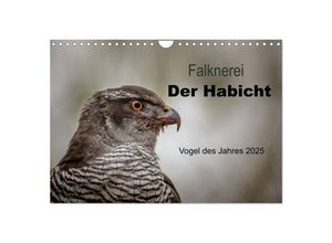 9783435640935 - Falknerei Der Habicht (Wandkalender 2025 DIN A4 quer) CALVENDO Monatskalender