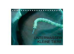 9783435641079 - UNTERWASSER KLEINE TIERE (Tischkalender 2025 DIN A5 quer) CALVENDO Monatskalender