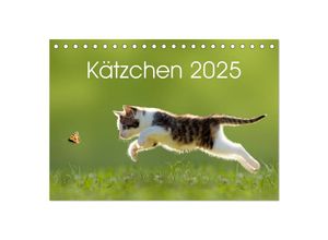 9783435641116 - Kätzchen 2025 (Tischkalender 2025 DIN A5 quer) CALVENDO Monatskalender