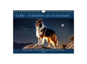 9783435641123 - Traumhund Collie (Wandkalender 2025 DIN A4 quer) CALVENDO Monatskalender