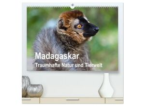 9783435641819 - Madagaskar Traumhafte Natur und Tierwelt (hochwertiger Premium Wandkalender 2025 DIN A2 quer) Kunstdruck in Hochglanz