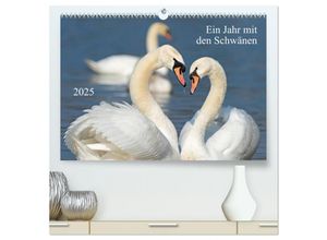 9783435641901 - Ein Jahr mit den Schwänen (hochwertiger Premium Wandkalender 2025 DIN A2 quer) Kunstdruck in Hochglanz