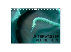 9783435642328 - UNTERWASSER KLEINE TIERE (Wandkalender 2025 DIN A4 quer) CALVENDO Monatskalender