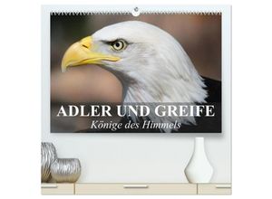 9783435642403 - Adler und Greife - Könige des Himmels (hochwertiger Premium Wandkalender 2025 DIN A2 quer) Kunstdruck in Hochglanz