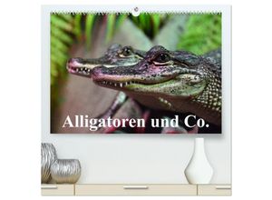 9783435642564 - Alligatoren und Co (hochwertiger Premium Wandkalender 2025 DIN A2 quer) Kunstdruck in Hochglanz