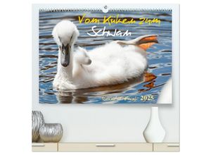 9783435642618 - Vom Küken zum Schwan (hochwertiger Premium Wandkalender 2025 DIN A2 quer) Kunstdruck in Hochglanz