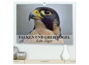 9783435642762 - Falken und Greifvögel Edle Jäger (hochwertiger Premium Wandkalender 2025 DIN A2 quer) Kunstdruck in Hochglanz