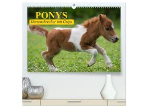 9783435643523 - Ponys Herzensbrecher mit Grips (hochwertiger Premium Wandkalender 2025 DIN A2 quer) Kunstdruck in Hochglanz