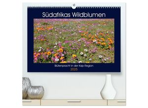 9783435644322 - Südafrikas Wildblumen - Blütenpracht in der Kap-Region (hochwertiger Premium Wandkalender 2025 DIN A2 quer) Kunstdruck in Hochglanz