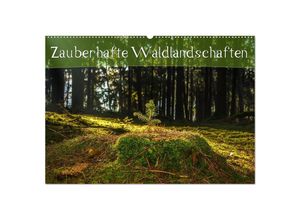 9783435645060 - Zauberhafte Waldlandschaften (Wandkalender 2025 DIN A2 quer) CALVENDO Monatskalender