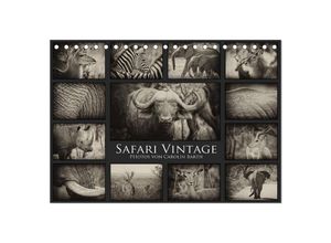 9783435645169 - Safari Vintage (Tischkalender 2025 DIN A5 quer) CALVENDO Monatskalender