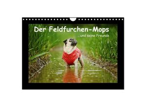 9783435645725 - Der Feldfurchen-Mops (Wandkalender 2025 DIN A4 quer) CALVENDO Monatskalender