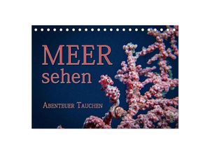 9783435645824 - Meer sehen - Abenteuer Tauchen (Tischkalender 2025 DIN A5 quer) CALVENDO Monatskalender