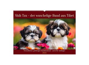 9783435646944 - Shih Tzu - der wuschelige Hund aus Tibet (Wandkalender 2025 DIN A2 quer) CALVENDO Monatskalender