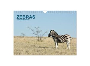 9783435646968 - Zebras - Faszination der Streifen (Wandkalender 2025 DIN A4 quer) CALVENDO Monatskalender