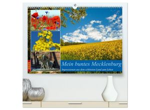 9783435647019 - Mein buntes Mecklenburg (hochwertiger Premium Wandkalender 2025 DIN A2 quer) Kunstdruck in Hochglanz