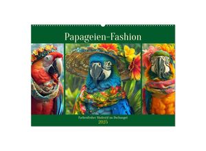 9783435647262 - Papageien-Fashion Farbenfroher Modestil im Dschungel (Wandkalender 2025 DIN A2 quer) CALVENDO Monatskalender