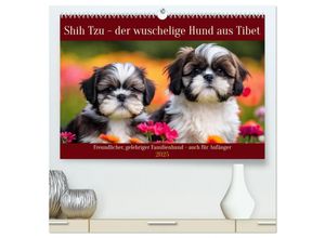 9783435647651 - Shih Tzu - der wuschelige Hund aus Tibet (hochwertiger Premium Wandkalender 2025 DIN A2 quer) Kunstdruck in Hochglanz