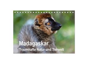 9783435649372 - Madagaskar Traumhafte Natur und Tierwelt (Tischkalender 2025 DIN A5 quer) CALVENDO Monatskalender