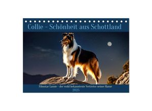 9783435649518 - Traumhund Collie (Tischkalender 2025 DIN A5 quer) CALVENDO Monatskalender