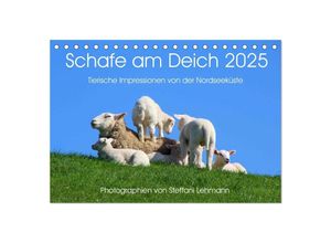 9783435649815 - Schafe am Deich 2025 Tierische Impressionen von der Nordseeküste (Tischkalender 2025 DIN A5 quer) CALVENDO Monatskalender