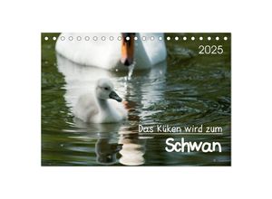 9783435649846 - Das Küken wird zum Schwan (Tischkalender 2025 DIN A5 quer) CALVENDO Monatskalender