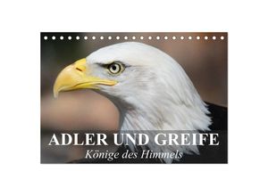 9783435650040 - Adler und Greife - Könige des Himmels (Tischkalender 2025 DIN A5 quer) CALVENDO Monatskalender