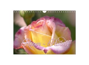 9783435650095 - Rosen - Parade (Wandkalender 2025 DIN A4 quer) CALVENDO Monatskalender