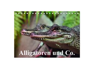 9783435650125 - Alligatoren und Co (Tischkalender 2025 DIN A5 quer) CALVENDO Monatskalender