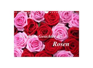 9783435650385 - Die vielen Gesichter der Rosen (Wandkalender 2025 DIN A4 quer) CALVENDO Monatskalender